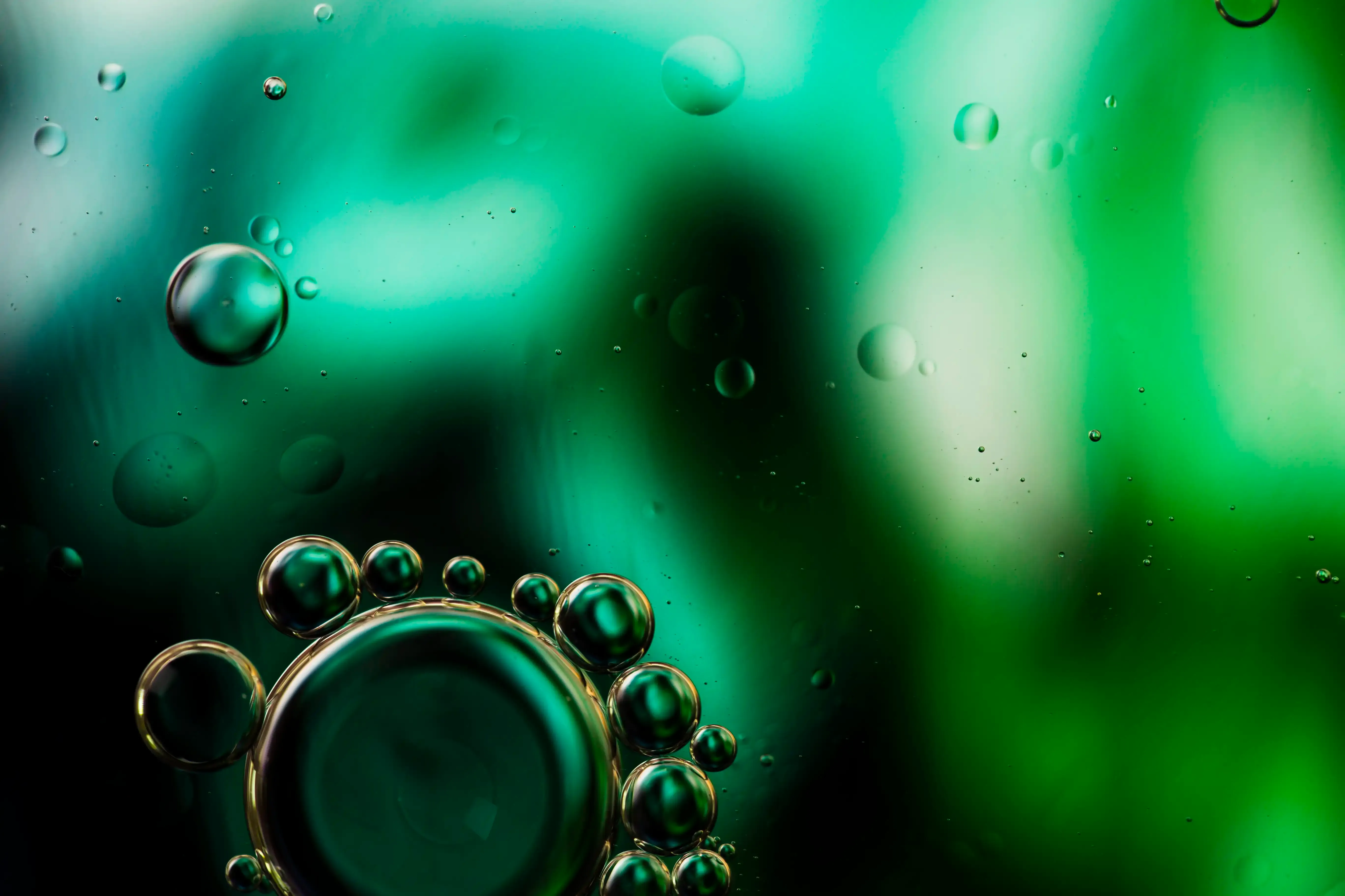 PFAS-Beschränkung 2025 unter REACH: ECHA aktualisiert Dossier